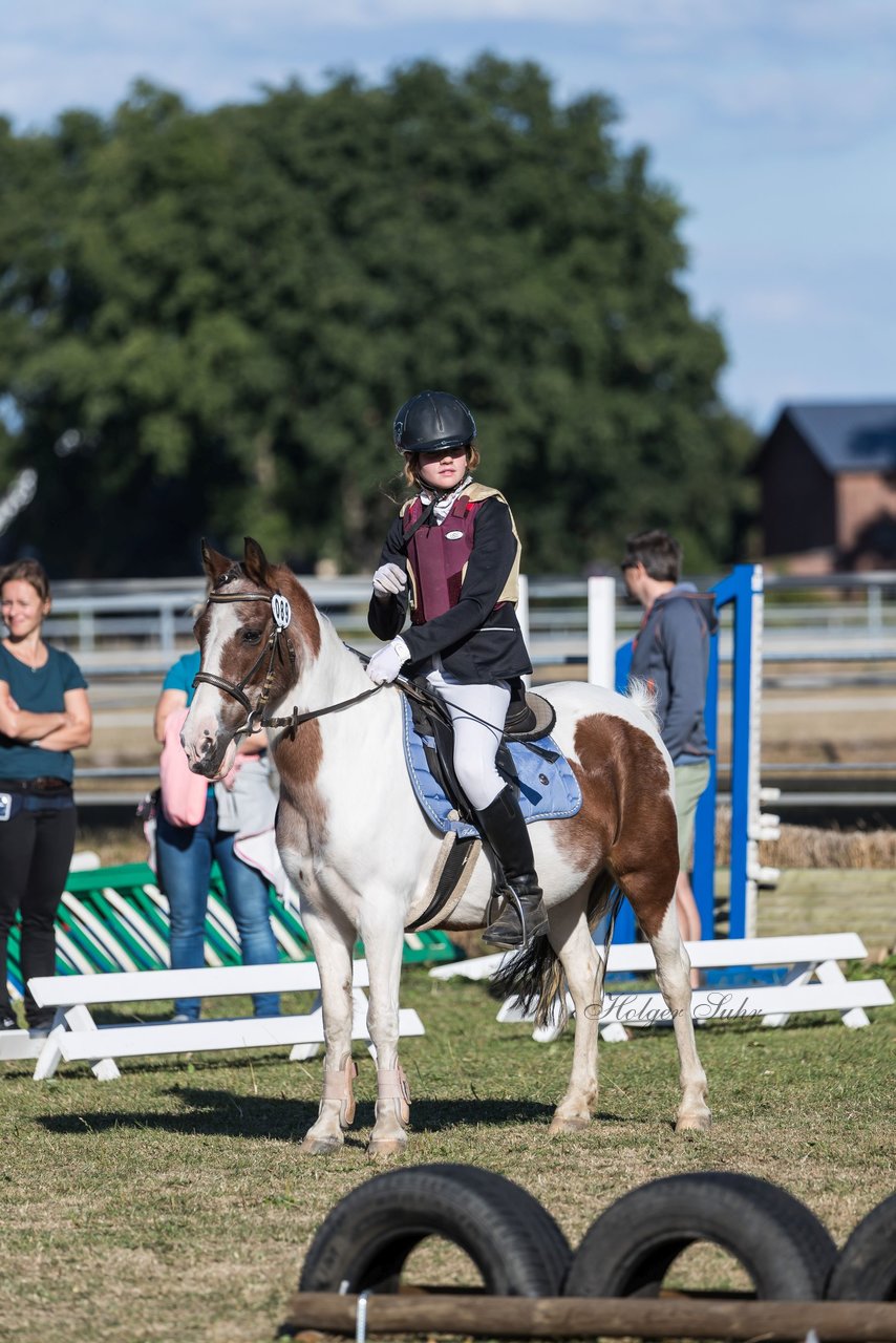 Bild 6 - Pony Akademie Turnier